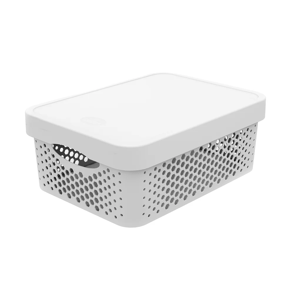 SallyBasket - Image 13